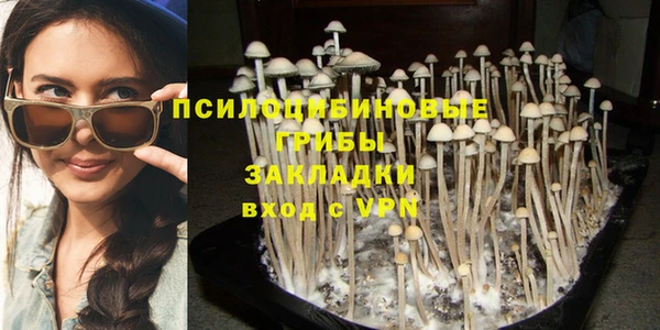синтетический гашиш Алексин