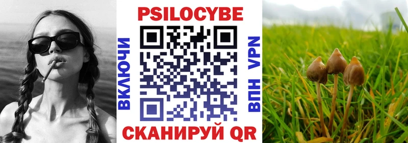 где купить наркоту Кологрив Галлюциногенные грибы Magic Shrooms